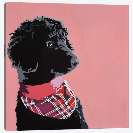 Standard Black Poodle Canvas Print #AHM35} by Julie Ahmad Art Print