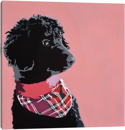 Standard Black Poodle Canvas Art Print - Poodle Art