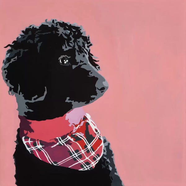 Black & Pink: Standard Black Poodle by Julie Ahmad