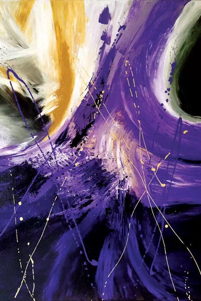 The Final Frontier by Julie Ahmad framed canvas print