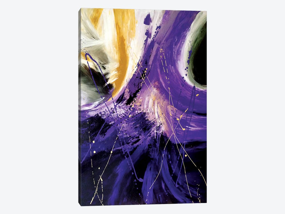 The Final Frontier by Julie Ahmad 1-piece Canvas Wall Art