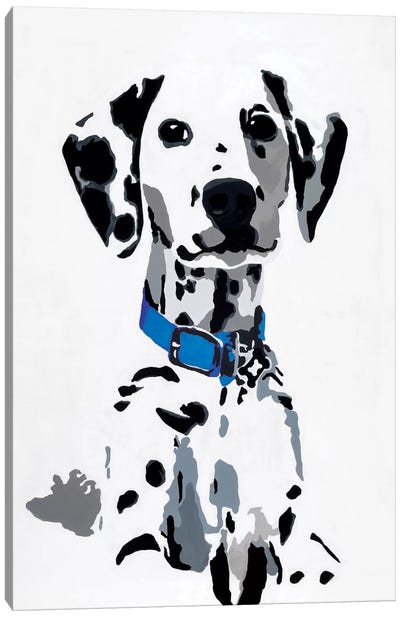 Winnie I (Blue Collar) Canvas Art Print - Dalmatian Art