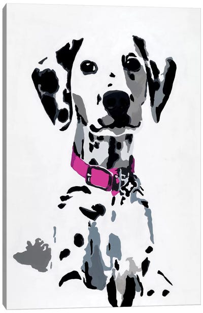 Winnie II (Pink Collar) Canvas Art Print - Dalmatian Art