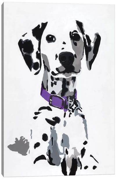 Winnie III (Purple Collar) Canvas Art Print - Dalmatian Art