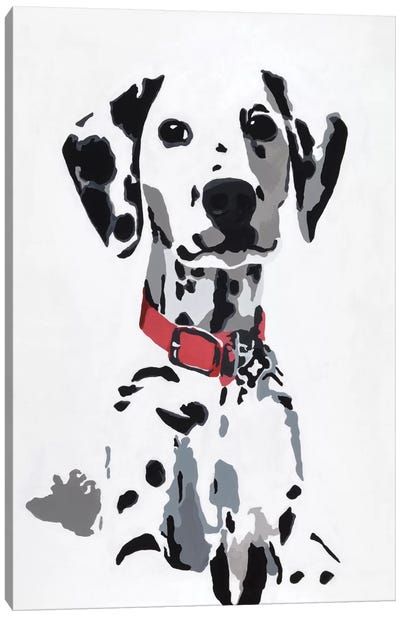 Winnie IV (Red Collar) Canvas Art Print - Dalmatian Art