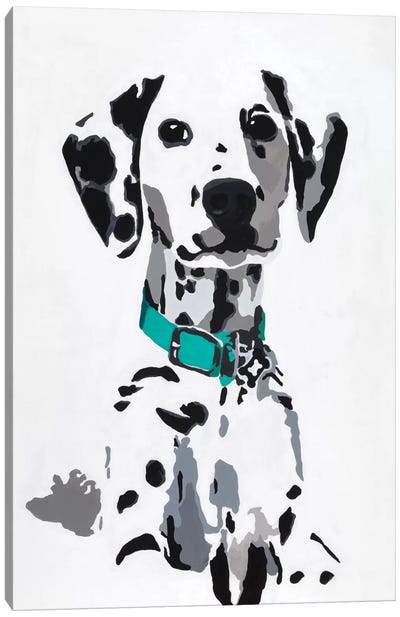 Winnie V (Teal Collar) Canvas Art Print - Dalmatian Art