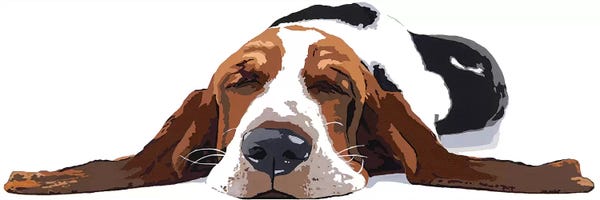 Sleeping & Napping: Workin' Like A Dog by Julie Ahmad