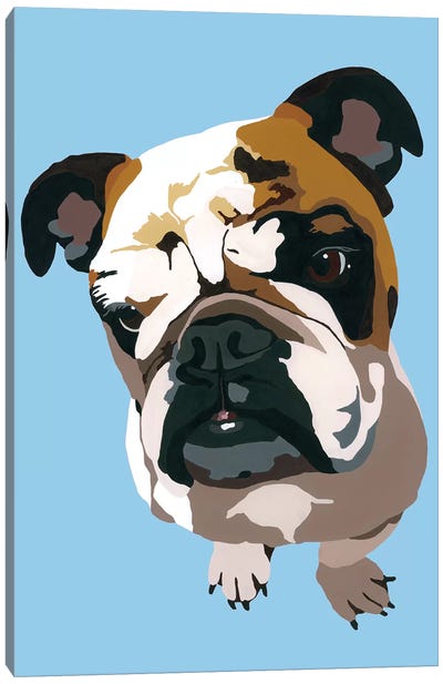 Bulldog On Blue Canvas Art Print - Julie Ahmad
