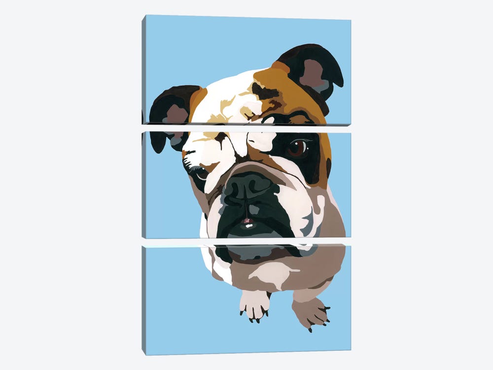 Bulldog On Blue by Julie Ahmad 3-piece Canvas Print