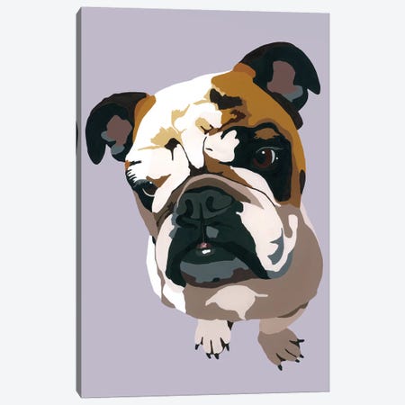 Bulldog On Gray Canvas Print #AHM53} by Julie Ahmad Canvas Art