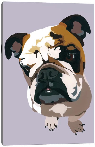Bulldog On Gray Canvas Art Print - Julie Ahmad
