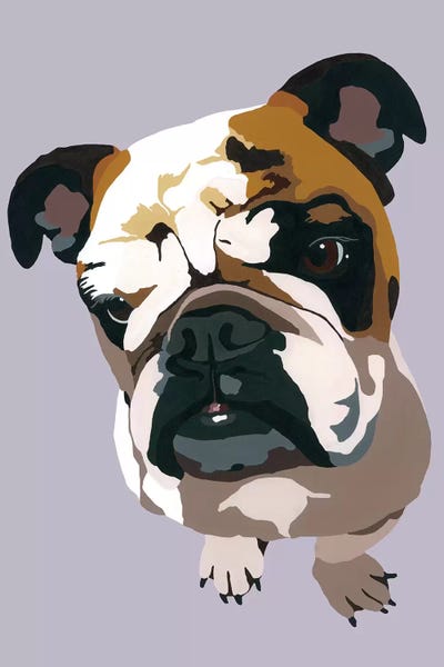 Bulldogs: Bulldog On Gray by Julie Ahmad