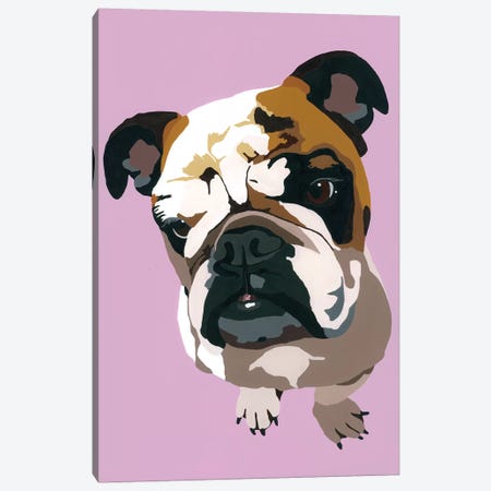 Bulldog On Lavender Canvas Print #AHM54} by Julie Ahmad Canvas Art Print