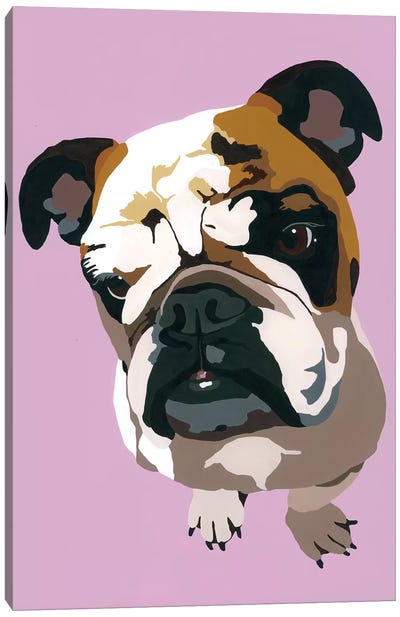 Bulldog On Lavender Canvas Art Print - Julie Ahmad