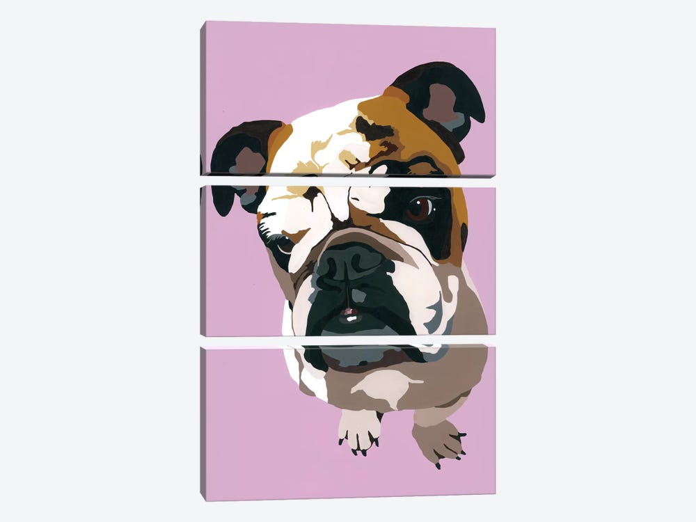 Bulldog On Lavender by Julie Ahmad 3-piece Canvas Art Print