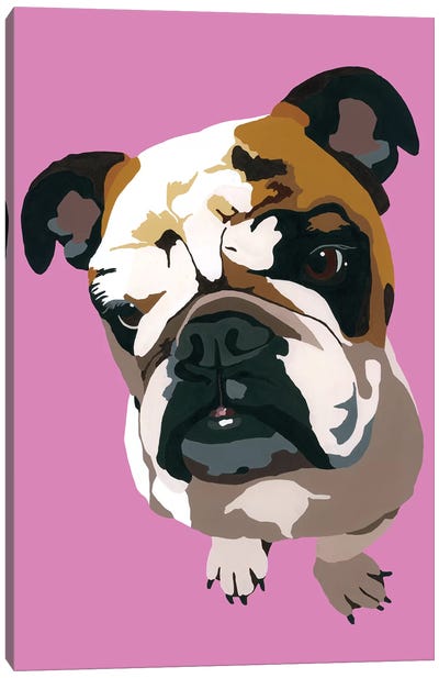 Bulldog On Pink Canvas Art Print - Julie Ahmad