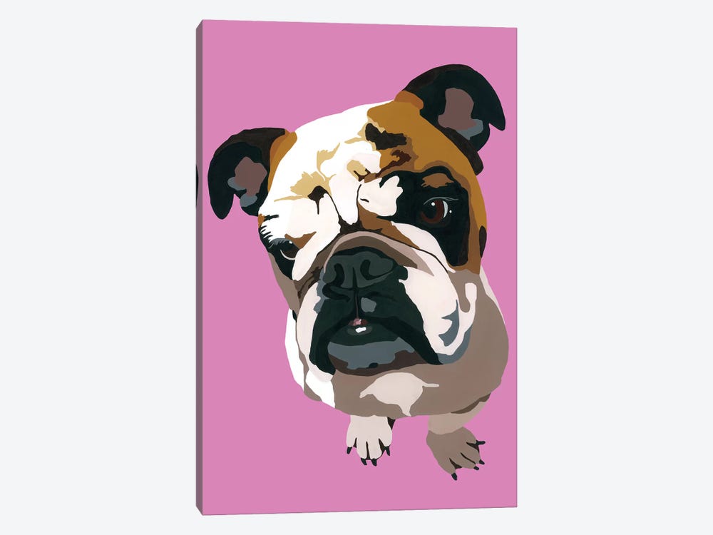 Bulldog On Pink by Julie Ahmad 1-piece Canvas Wall Art