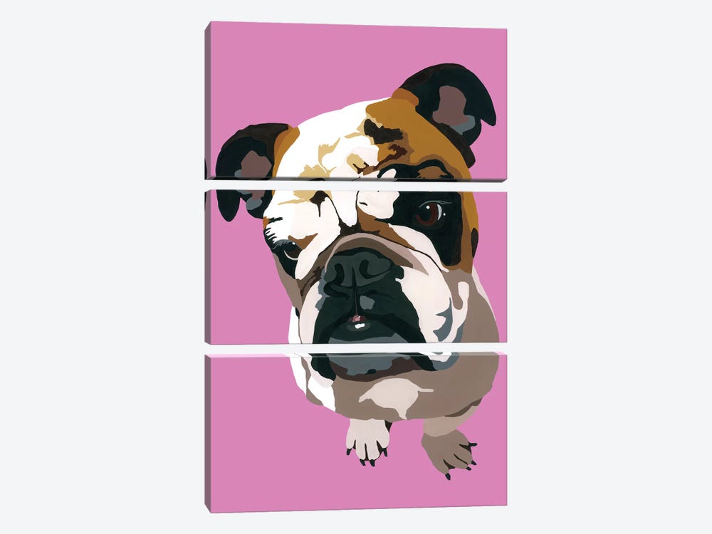 Bulldog On Pink by Julie Ahmad 3-piece Canvas Wall Art