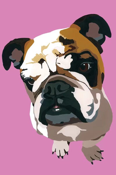 Bulldogs: Bulldog On Pink by Julie Ahmad