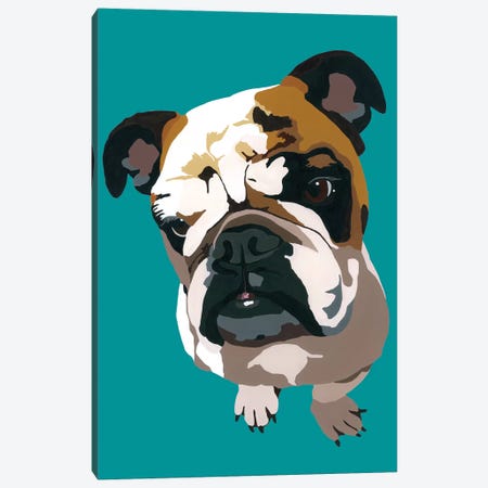 Bulldog On Teal Canvas Print #AHM56} by Julie Ahmad Canvas Print