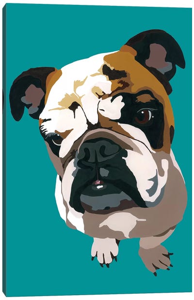 Bulldog On Teal Canvas Art Print - Julie Ahmad