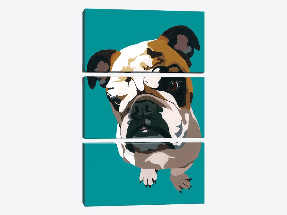 Bulldog On Teal by Julie Ahmad 3-piece Canvas Art Print