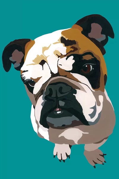Bulldogs: Bulldog On Teal by Julie Ahmad