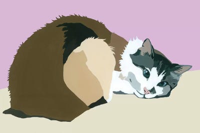 Colbert On Lavender by Julie Ahmad canvas print