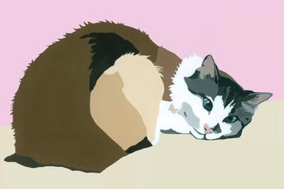 Colbert On Pink by Julie Ahmad framed canvas print