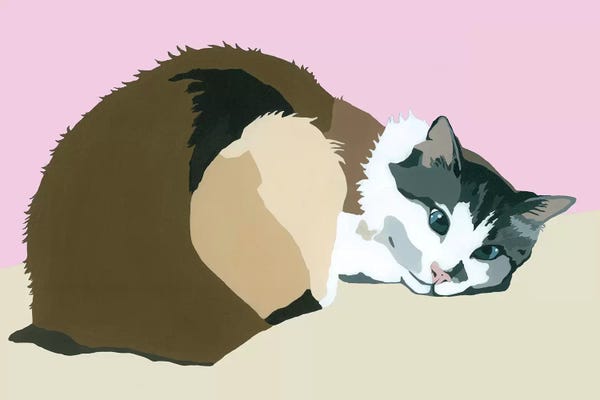 Julie Ahmad: Colbert On Pink by Julie Ahmad