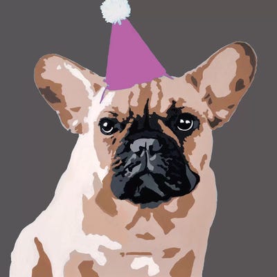 Milo On Dark Gray With A Pink Party Hat by Julie Ahmad framed wall art