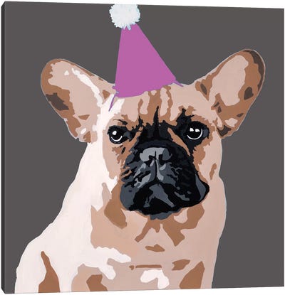 Milo On Dark Gray With A Pink Party Hat Canvas Art Print - Pug Art