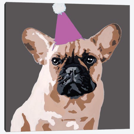 Milo On Dark Gray With A Pink Party Hat Canvas Print #AHM73} by Julie Ahmad Canvas Artwork