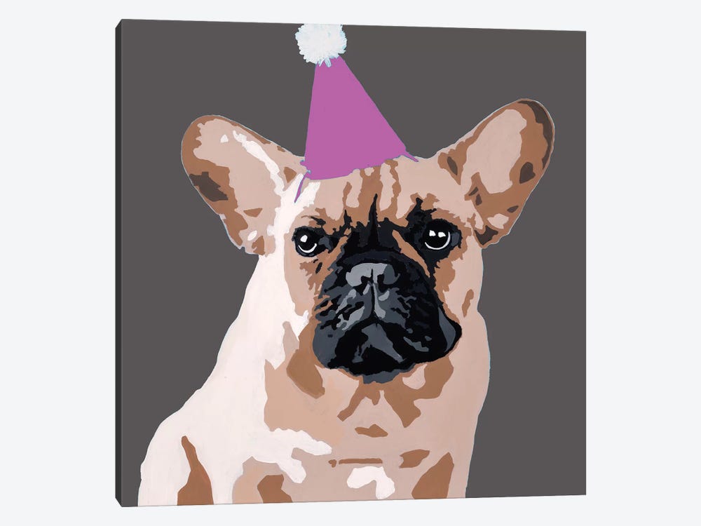 Milo On Dark Gray With A Pink Party Hat by Julie Ahmad 1-piece Canvas Wall Art