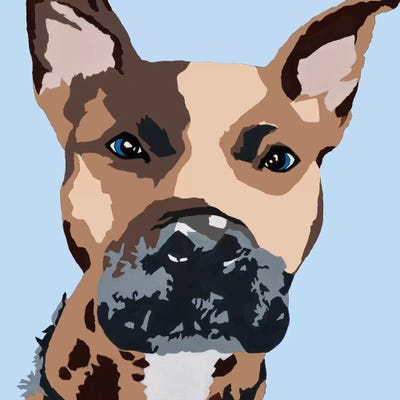 Prince The Pit On Baby Blue by Julie Ahmad metal wall art