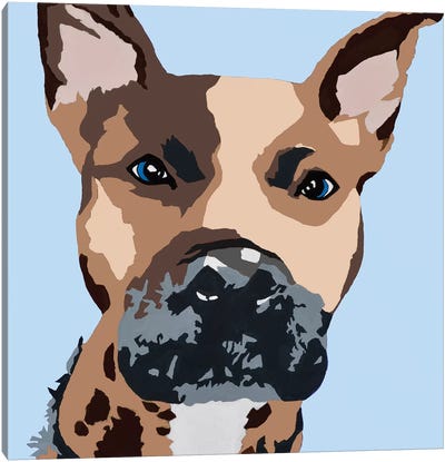 Prince The Pit On Baby Blue Canvas Art Print - American Pit Bull Terriers