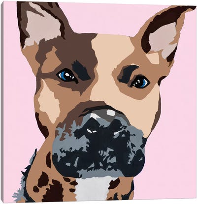 Prince The Pit On Pink Canvas Art Print - Pit Bull Art