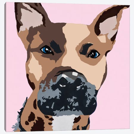 Prince The Pit On Pink Canvas Print #AHM78} by Julie Ahmad Canvas Wall Art