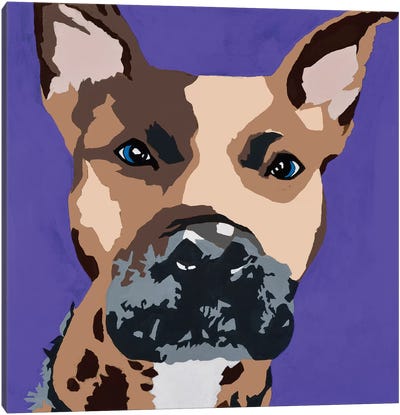 Prince The Pit On Purple Canvas Art Print - Julie Ahmad