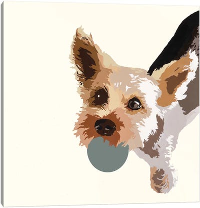 Rex On Cream Canvas Art Print - Yorkshire Terrier Art