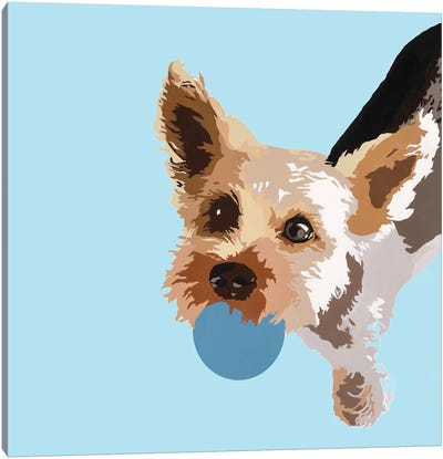 Rex On Light Blue Canvas Art Print - Yorkshire Terrier Art