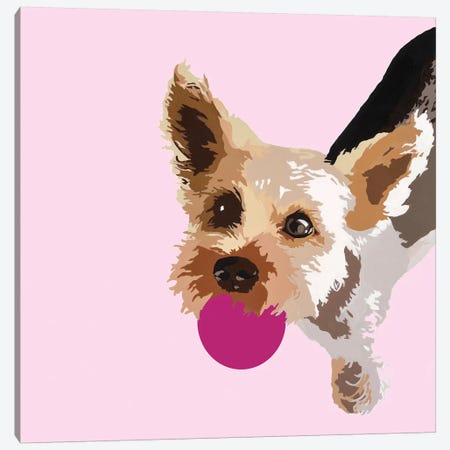 Rex On Pink Canvas Print #AHM83} by Julie Ahmad Canvas Print