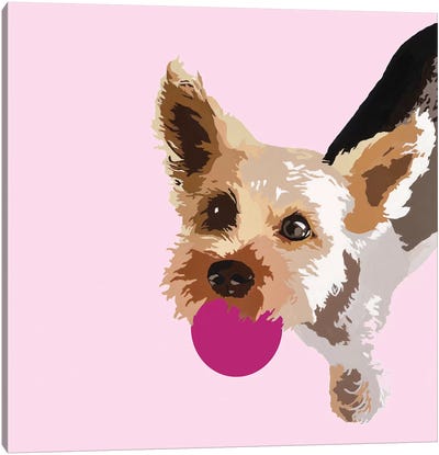 Rex On Pink Canvas Art Print - Yorkshire Terrier Art