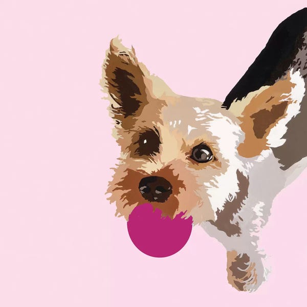 Yorkshire Terriers: Rex On Pink by Julie Ahmad