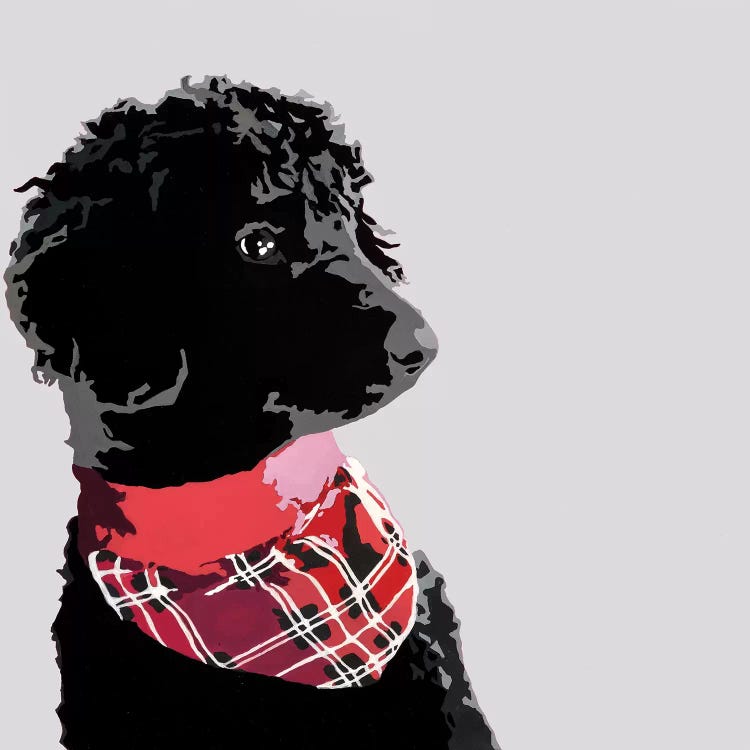 Standard Black Poodle II