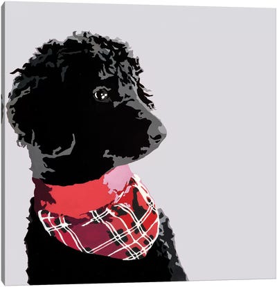 Standard Black Poodle II Canvas Art Print - Poodle Art