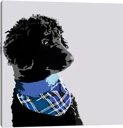 Standard Black Poodle III Canvas Art Print - Poodle Art