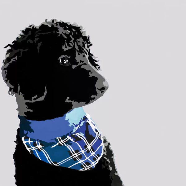 Poodles: Standard Black Poodle III by Julie Ahmad