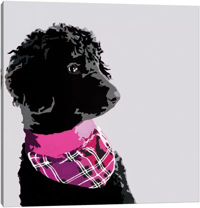 Standard Black Poodle IV Canvas Art Print - Poodle Art