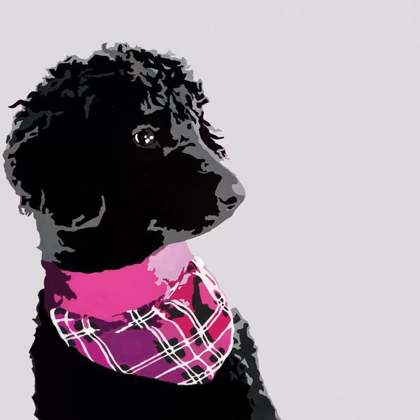 Poodles: Standard Black Poodle IV by Julie Ahmad